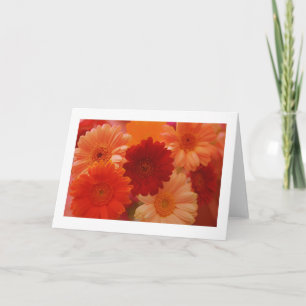 Cartão Orange Daisy Flowers Photo Note or Greeting Cards