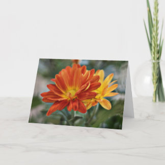 Cartão Orange Flower Notecard