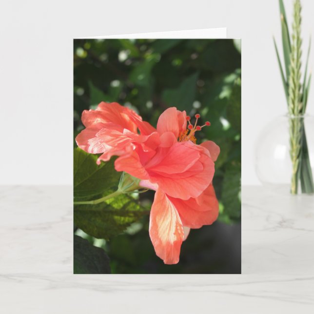 Cartão Orange Hibiscus Greeting Card (Frente)