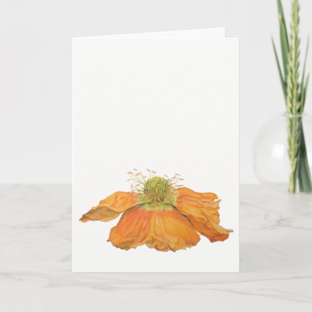 Cartão Orange Icelandic Poppy Greeting Card 5" x 7" (Frente)