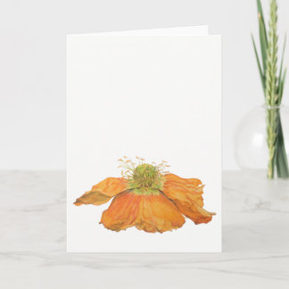 Cartão Orange Icelandic Poppy Greeting Card 5" x 7"