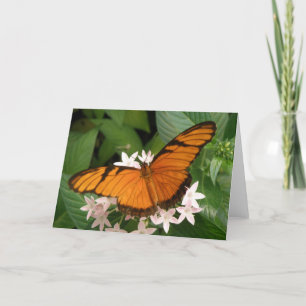 Cartão Orange Julia Butterfly Greeting Card