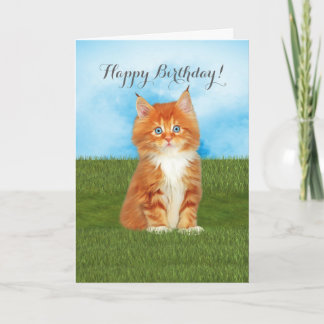 Cartão Orange Kitten Blue Eyes Birthday Card