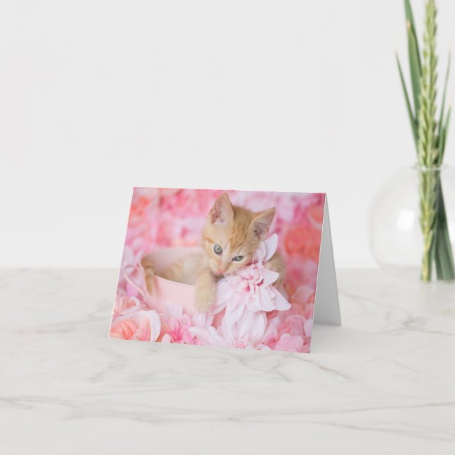 Cartão Orange Kitten Loki Pink Floral Blank Notecard (Frente)