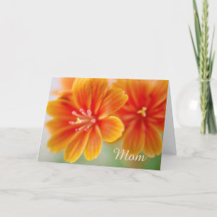 Cartão Orange Lewisia Floral Dia de as mães