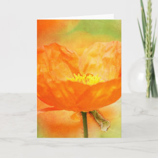 Cartão Orange Poppy