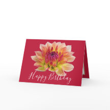 Orange Red Dahlia Fllower Red Background Birday