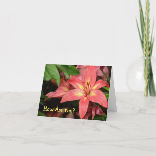 CARTÃO "ORANGE RED E YELLOY DAY LILY"