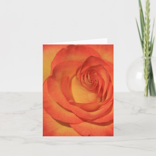 Cartão Orange Rose Notecard (Frente)