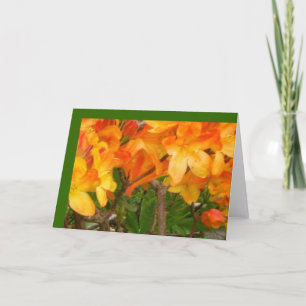 Cartão Orange Sunshine Delight Greeting Card