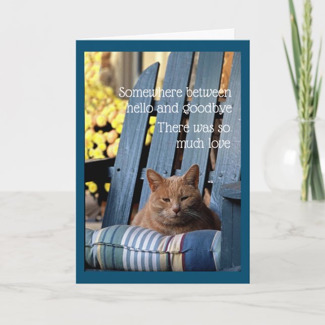 Cartão Orange Tabby Cat on Blue Chair  Card (Frente)