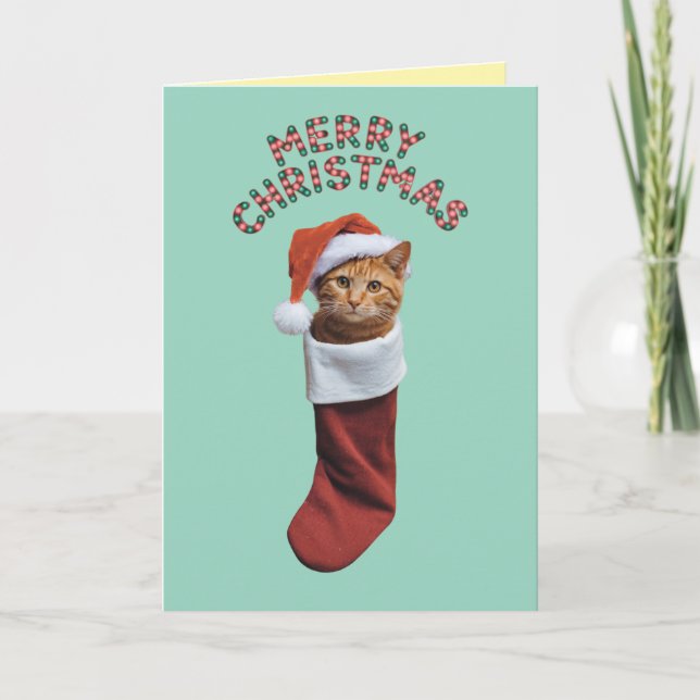 Cartão Orange Tabby Christmas Stocks (Frente)