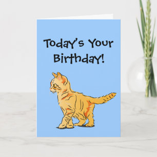 Cartão Orange Tabby Kitten no Blue Birthday