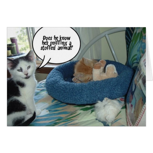 Cartão Orange Tabby Kitty Cat (Frente Horizontal)