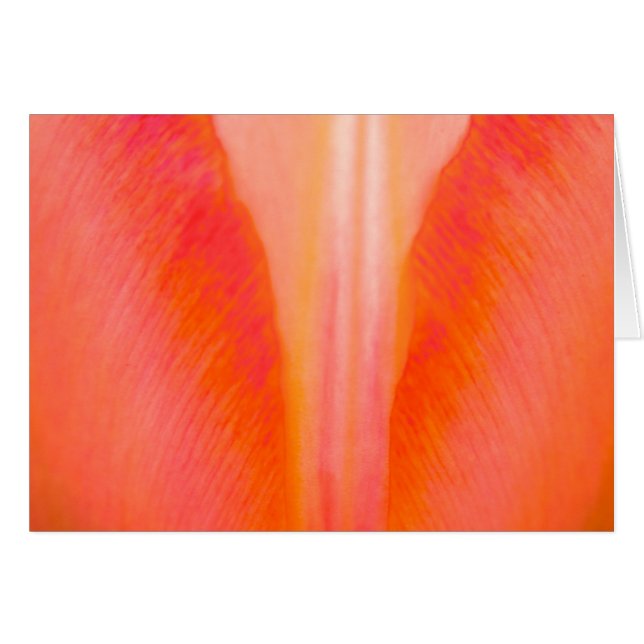 Cartão Orange Tulip (Frente horizontal)
