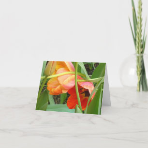 Cartão Orange Tulip Sculpture Note Cards