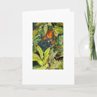 Cartão Oranges on the tree pencil  enhanced extra dry