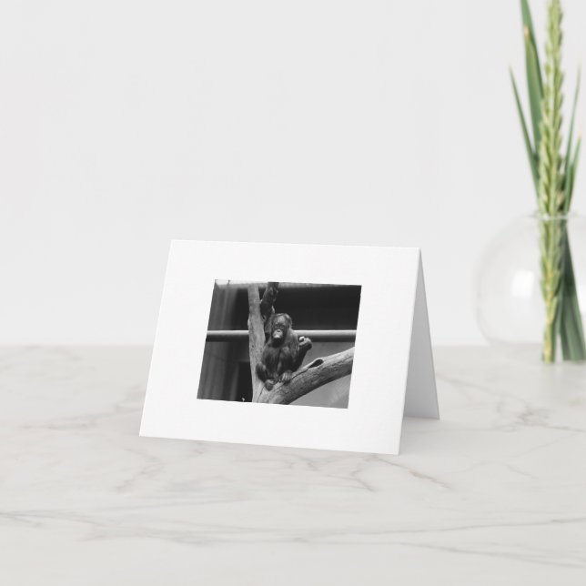 Cartão orangotano (Frente)