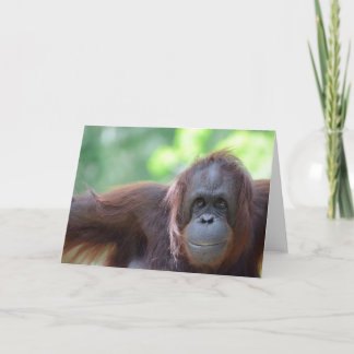 Cartão Orangutan Greeting Card