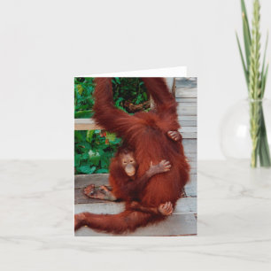 Cartão Orangutanos