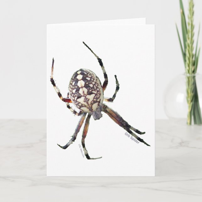 Cartão Orb Spider (Frente)