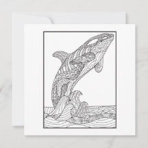 Orca Black and White Card