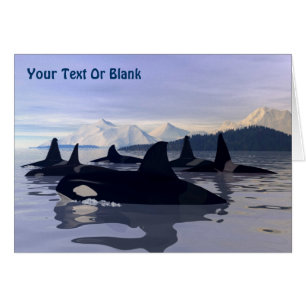 Cartão Orca de Água Brilhada