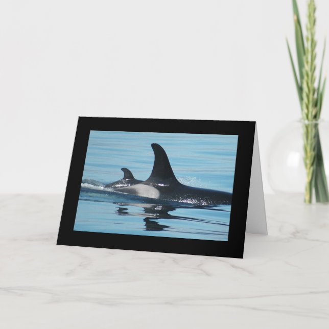 Cartão Orca/Killer Whale Mother's Day Card (Frente)