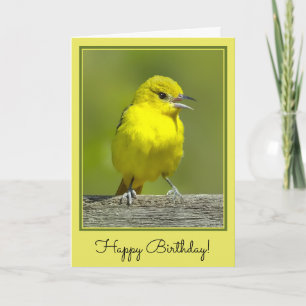 Cartão Orchard Oriole - Fotografia Original