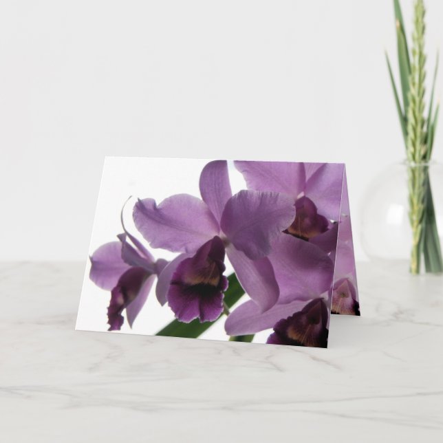 Cartão Orchid 1 All-Purpose Greeting/Invitation Card (Frente)