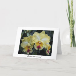 Cartão Orchid anniversary card