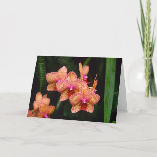 Cartão Orchid Greeting Card