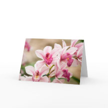 Orchid Greeting Card