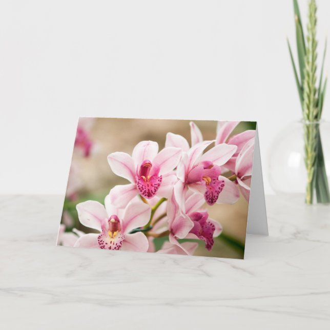 Cartão Orchid Greeting Card (Frente)