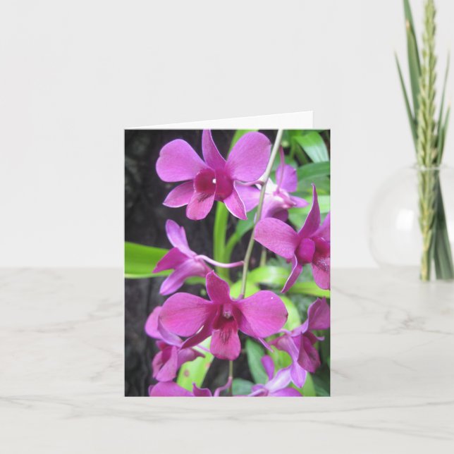Cartão Orchid notecard (Frente)