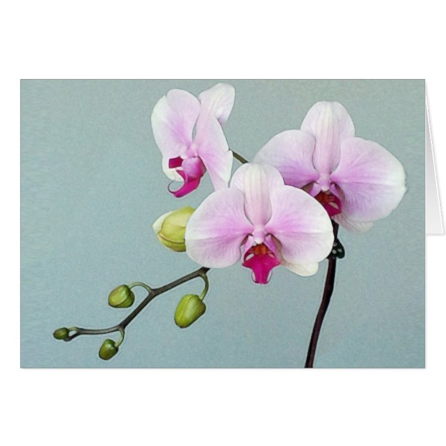 Cartão Orchid Orji Card (Frente horizontal)