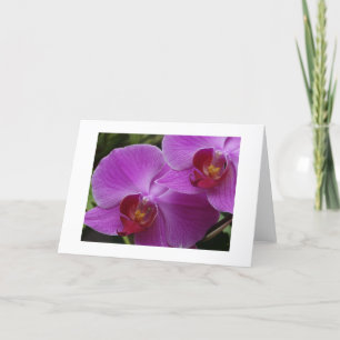 Cartão Orchid Perfection
