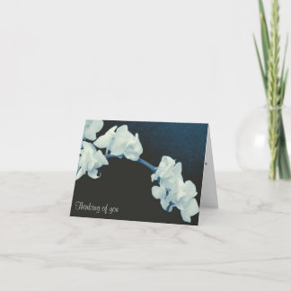 Cartão Orchid Sympathy Card