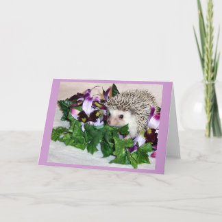 Cartão Orchid the Hedgehog