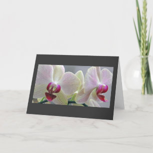 Cartão Orchids #2
