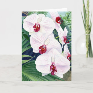 Cartão Orchids, greeting card