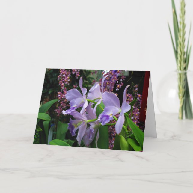 Cartão Orchids Greeting Card (Frente)