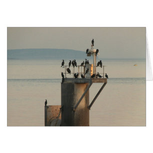 Cartão Ordem de correção