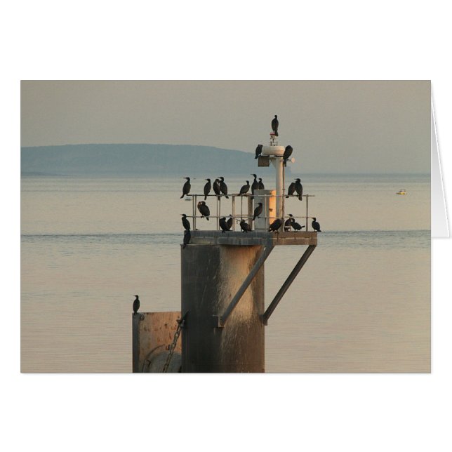 Cartão Ordem de correção (Frente Horizontal)