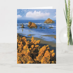 Cartão Oregon Beach View In Bandon