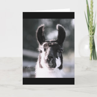 Cartão Orelhas do lama