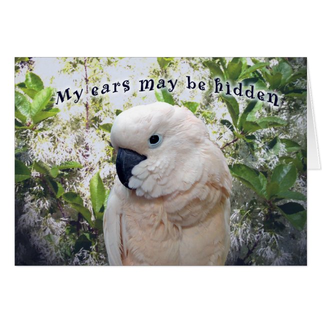 Cartão Orelhas escondidas (Frente Horizontal)