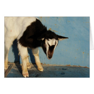 Cartão Oreo O Garoto De Cabra