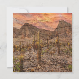 Cartão Organ Pipe Cactus On Wood Grain Sunset Photo