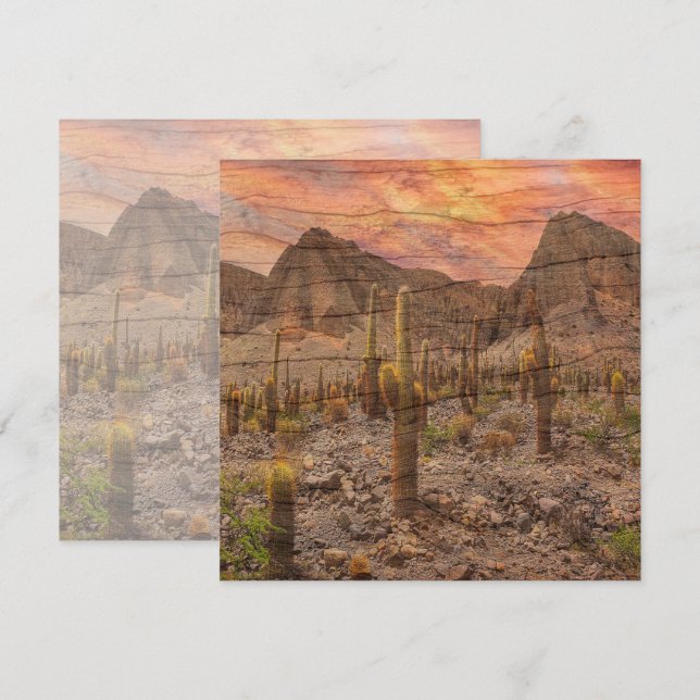 Cartão Organ Pipe Cactus On Wood Grain Sunset Photo (Frente/Verso)